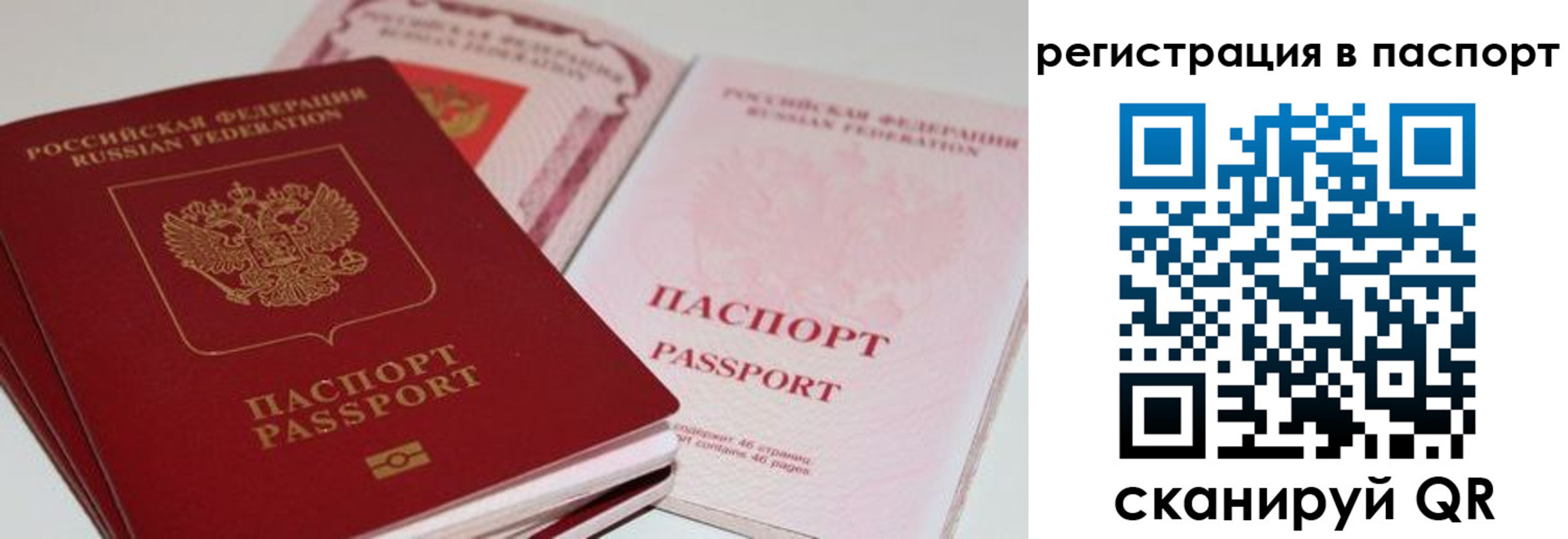 найти адрес прописки в Калуге